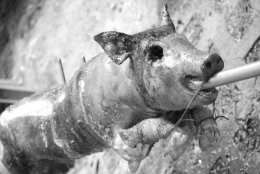 Die Metzgerin mag Schweinebraten